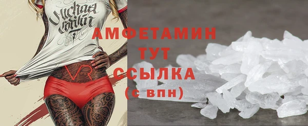 индика Балабаново