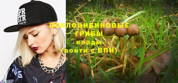 молекула духа Баксан