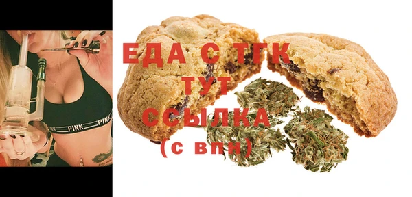 индика Балабаново