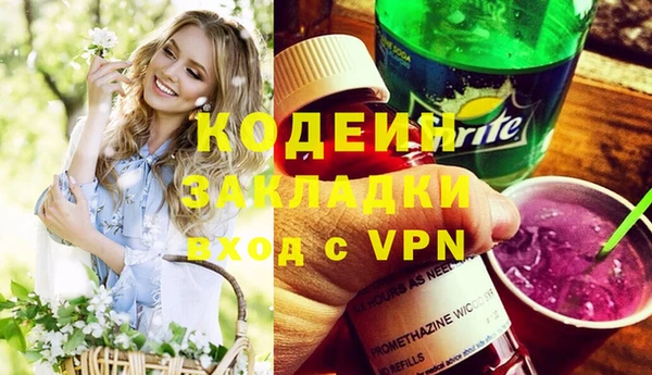 индика Балабаново