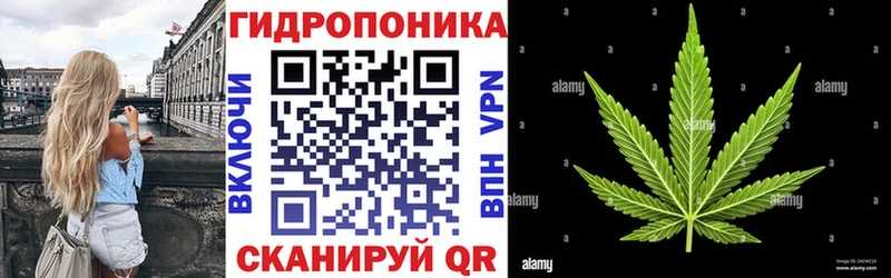 Марихуана семена  ОМГ ОМГ tor  Феодосия  купить наркоту 